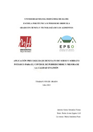 TFG Gema Gonzalez Tenza.pdf.jpg