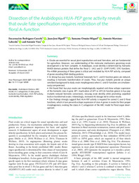 2020 Rodríguez-Cazorla et al. AC Ovule.pdf.jpg