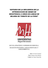 TFG Juarez Manrique, Jose.pdf.jpg