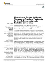 Mesenchymal Stromal Cell-Based Therapies as Promising Treatments for Muscle Regeneration After Snakebite Envenoming.pdf.jpg