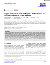 6 - Adv Healthcare Materials_2026.pdf.jpg