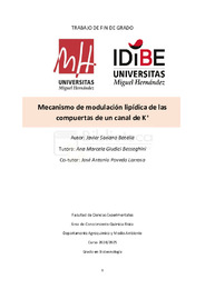 TFG_JSB_Final.pdf.jpg