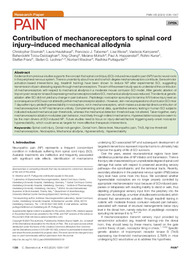 Contribution of mechanoreceptors to spinal cord.pdf.jpg