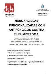 HernandezEspinosa_Oscar_TFG.pdf.jpg