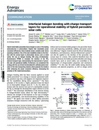 Energy Advances.pdf.jpg