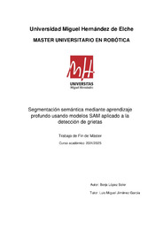 Lopez_Soler_Borja_TFM.pdf.jpg