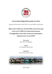 OteroRodriguez_Silvia_Tesis SF_compressed.pdf.jpg