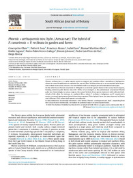 phoenix arehuquensis.pdf.jpg