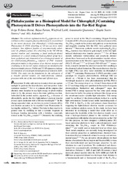 Angew Chem Int Ed - 2021 - Follana.pdf.jpg