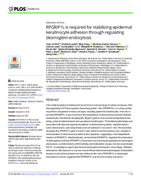RPGRIP1L is required for stabilizing epidermal.pdf.jpg