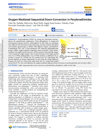 Oxygen-Mediated Sequential Down-Conversion in Perylenediimides.pdf.jpg