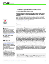 2018 Rodríguez-Cazorla Ovule 1.pdf.jpg