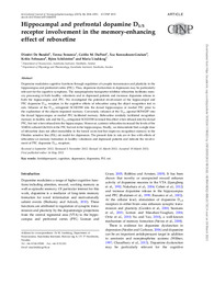 Hippocampal and prefrontal dopamine D1_5 receptor involvement in the memory-enhancing effect of reboxetine.pdf.jpg