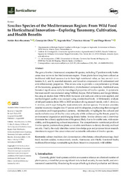 Sonchus horticulturae-11-00893-r.pdf.jpg