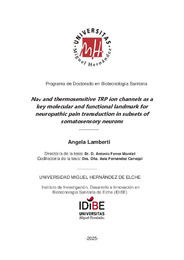 Lamberti, Angela(1)_SUBIDO A REPOSITORIO_compressed.pdf.jpg