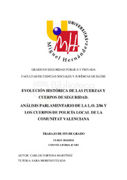 TFG_TORTOSA_MARTINEZ_CARLOS.pdf.jpg