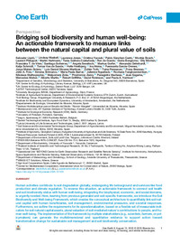 Llado et al. OEarth 2025.pdf.jpg