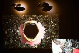 3 ORGIA_PRIMER BORRADOR PATLACHE_2024_detalle.JPG.jpg