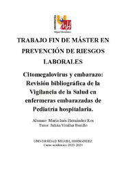 HERNANDEZ ROS_MARIA INES_TFM.pdf.jpg