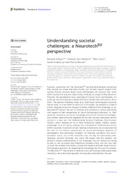 Understanding societal challenges a NeurotechEU perspective.pdf.jpg