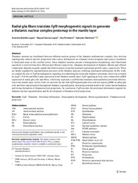 Radial glia fibers translate Fgf8 morphogenetic signals to generate.pdf.jpg