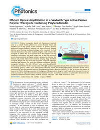 Efficient Optical Amplification in a Sandwich-Type Active-Passive Polymer Waveguide Containing Perylenediimides.pdf.jpg