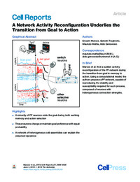 A Network Activity Reconfiguration.pdf.jpg