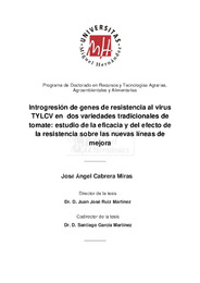 TD Cabrera Miras, José Ángel.pdf.jpg