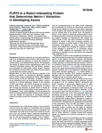 FLRT3 Is a Robo1-Interacting Protein that Determines Netrin-1 Attraction in Developing Axons.pdf.jpg