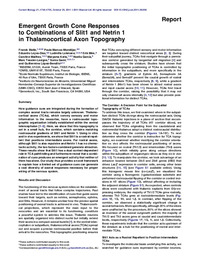 Emergent Growth Cone Responses.pdf.jpg