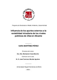 TESIS SF Sara Martínez Pérez.pdf.jpg