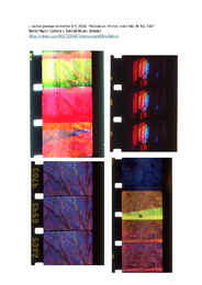 cactus_doc principal.pdf.jpg