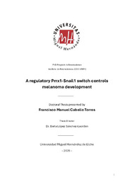TESIS SF - Francisco Manuel Cabello Torres (1)_compressed.pdf.jpg