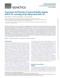 Expression and function of Caenorhabditis elegans UNCP-18, a paralog of the SM protein UNC-18.pdf.jpg