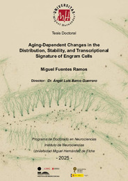 Tesis SF - Miguel Fuentes Ramos (1)_compressed.pdf.jpg