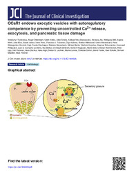 OCaR1 endows exocytic vesicles with autoregulatory competence by preventing uncontrolled Ca2+ release, exocytosis, and pancreatic tissue damage.pdf.jpg