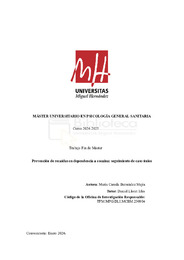 TFM-Bermúdez Mejía, María Camila.pdf.jpg