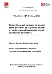 TFM Bermejo Molina, Emilio Jesús.pdf.jpg