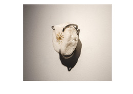 1_O.R.G.I.A_En los anales de la historia 0_2022-2024.pdf.jpg