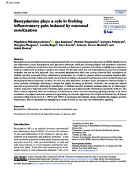 2023_02_Nikolaeva_Mol Pain_benzydamine.pdf.jpg