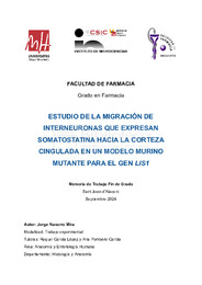 TFG_Jorge Navarro Mira.pdf.jpg