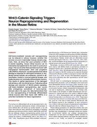 Wnt_b-Catenin Signaling Triggers.pdf.jpg