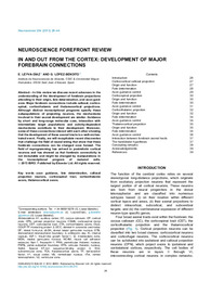In and out from the cortex development of major forebrain connections.pdf.jpg