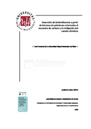 TD Vico López, Alberto.pdf.jpg