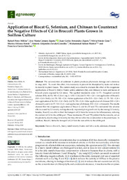 Application of Biocat G, selenium, and chitosan to counteract the negative effects of Cd in broccoli plants.pdf.jpg