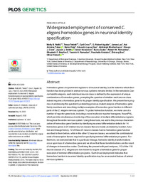 Widespread employment of conserved C. elegans homeobox genes in neuronal identity specification.pdf.jpg