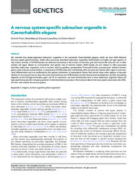 A nervous system-specific subnuclear organelle in.pdf.jpg