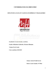 IMPACTO DE LA DANA DE VALENCIA EN EMPRESAS Y TRABAJADORES 1.pdf.jpg
