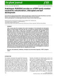 Arabidopsis RUGOSA2 encodes an mTERF family member required for mitochondrion, chloroplast and leaf development.pdf.jpg