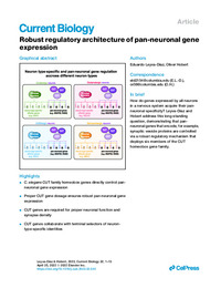 Robust regulatory architecture.pdf.jpg